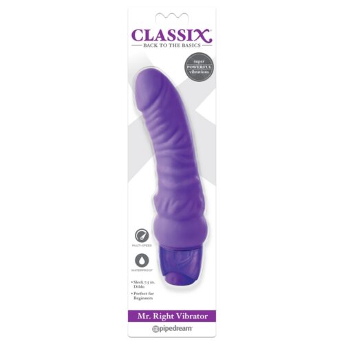 Mr. Right Vibrator Purple 1