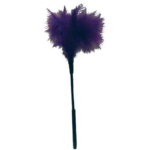 Sex and Mischief Feather Tickler Purple