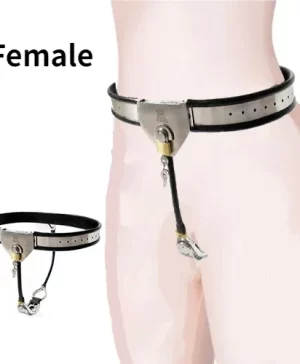 Female Chastity Belt with Anal Opening Silicone Liner Adjustable